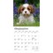 Cavalier King Charles Spaniel Puppies | 2026 7 x 14 Inch (Hanging) Monthly Mini Wall Calendar